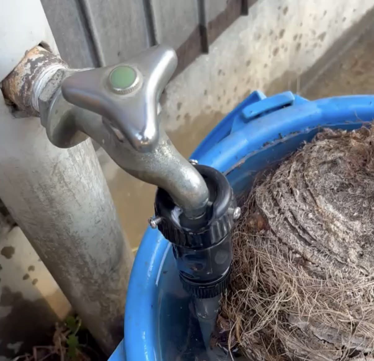 蛇口交換前の屋外水栓